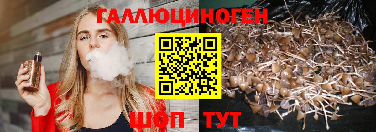 Галлюциногенные грибы прущие грибы Егорьевск